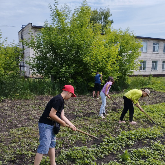 Труд на пришкольном участке.